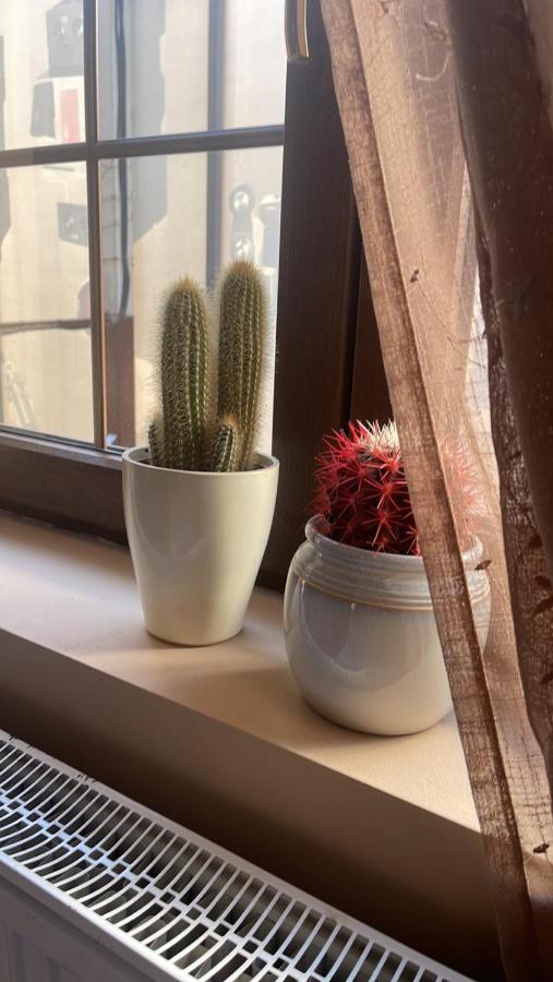 Guesthouse 12A 프리슈티나 외부 사진